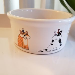 Cat party food bowl